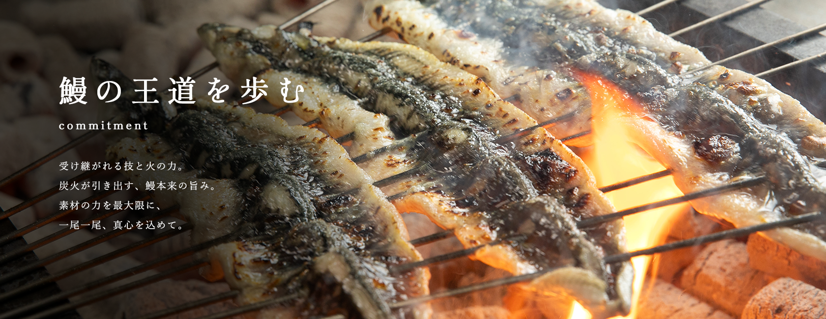 鰻の王道を歩む