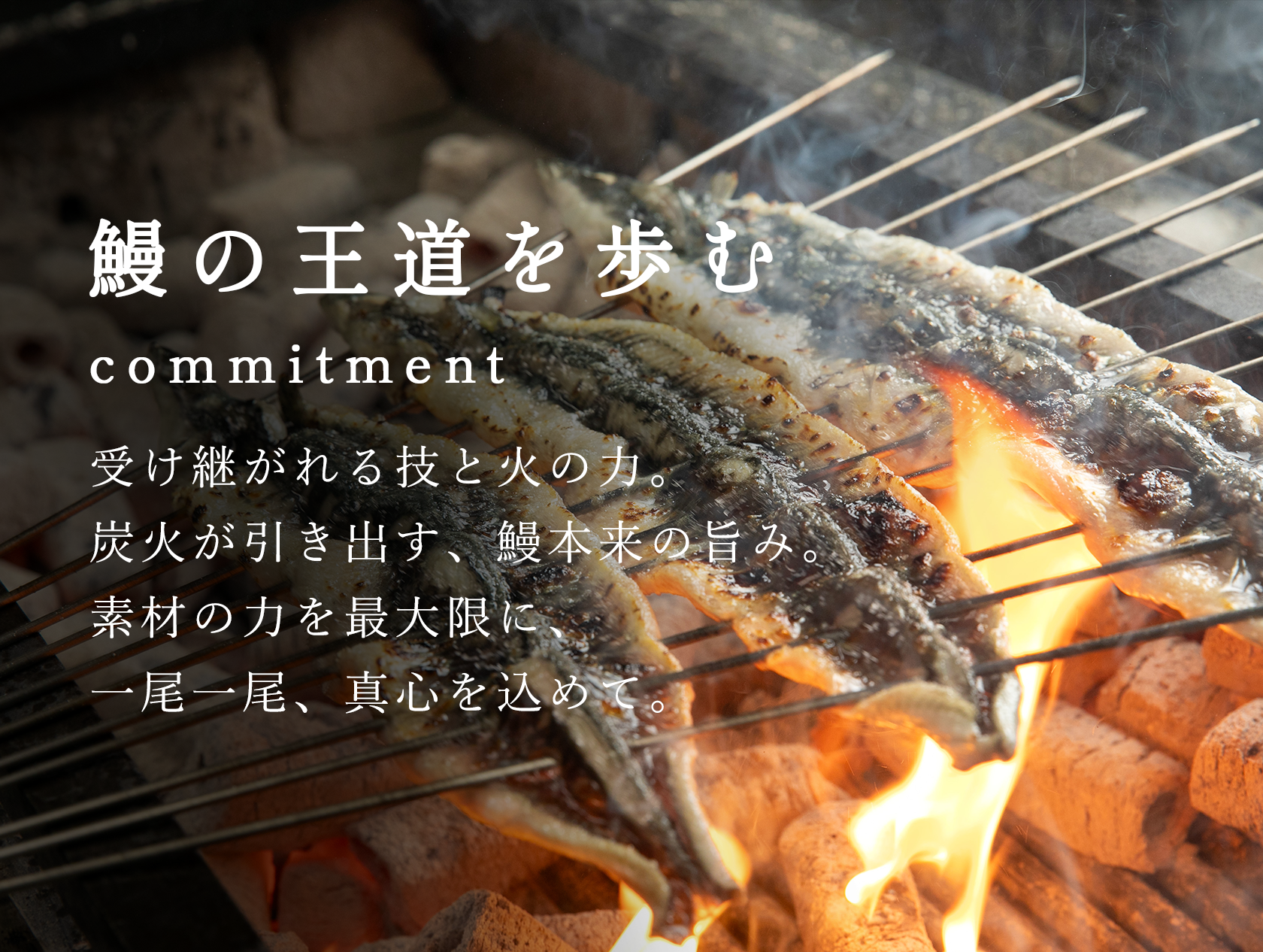 鰻の王道を歩む